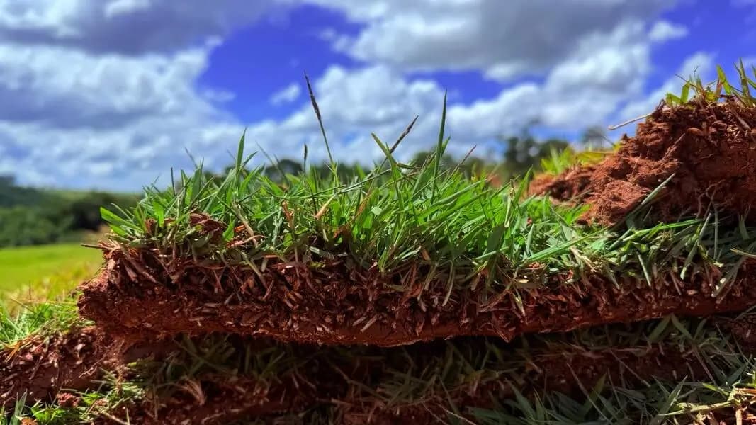 Maquinário e campo de produção